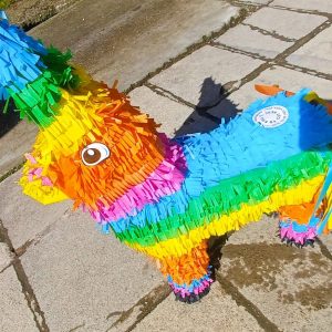 Pinata Burro 01