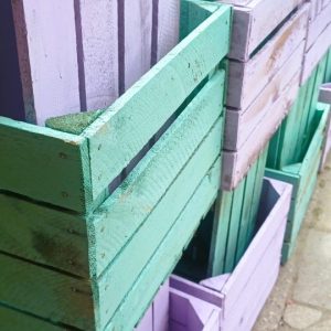 groente/ fruitkisten geverfd mosgroen
