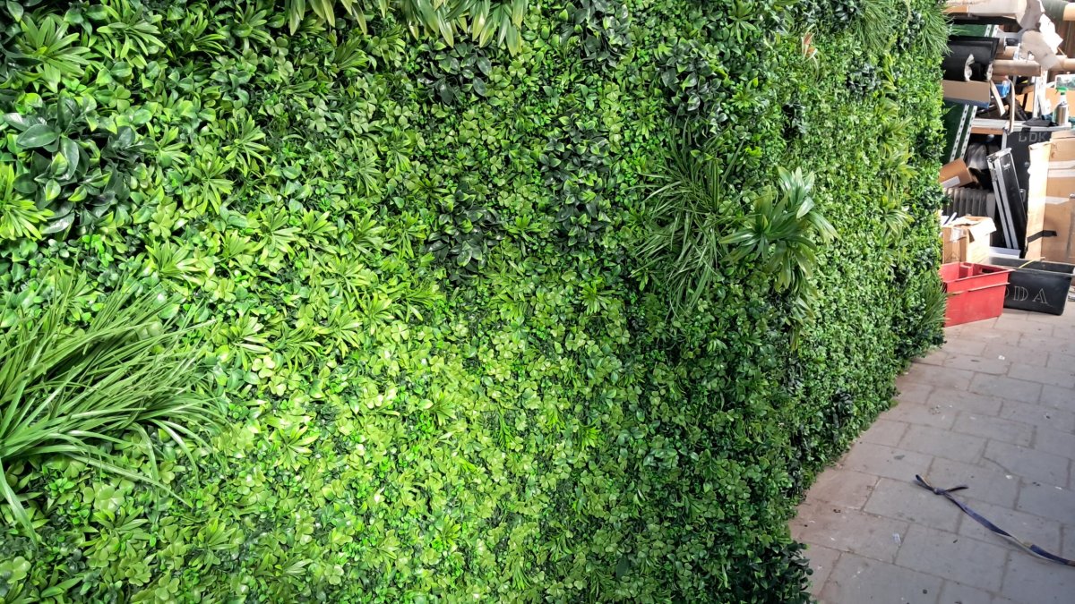 Green Wall - Afbeelding 4
