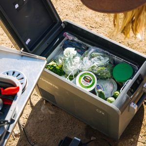 Dometic CFX5-35