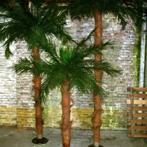 Palmboom (namaak) -niet beschikbaar op dit moment –
