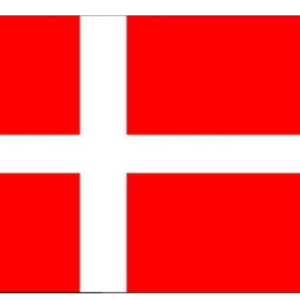 vlag Denemarken Medium