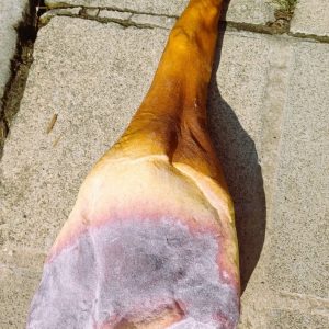 Serano ham 01