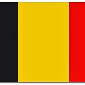 vlag Belgie (70/110)