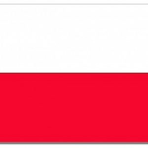vlag Polen (150/225)